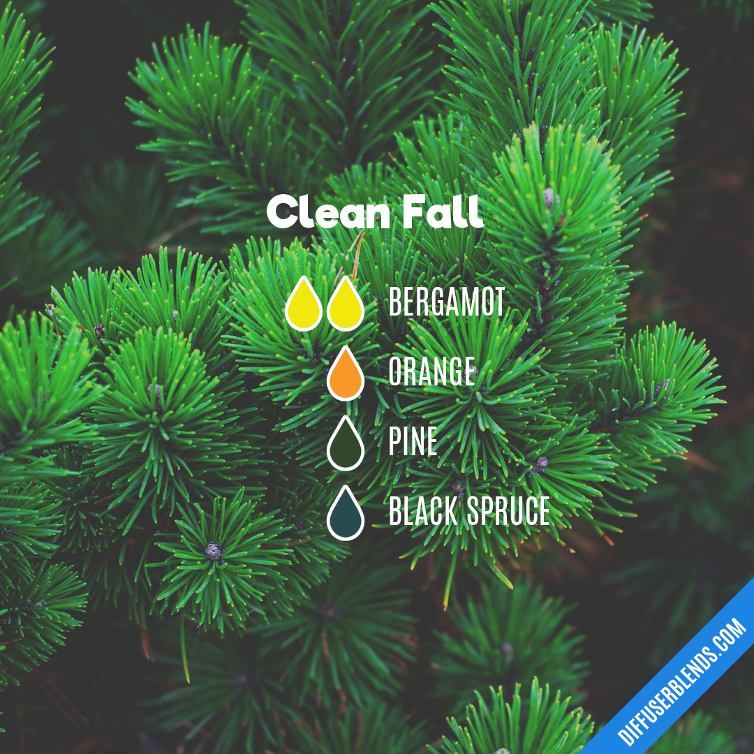 Clean Fall — Essential Oil Diffuser Blend