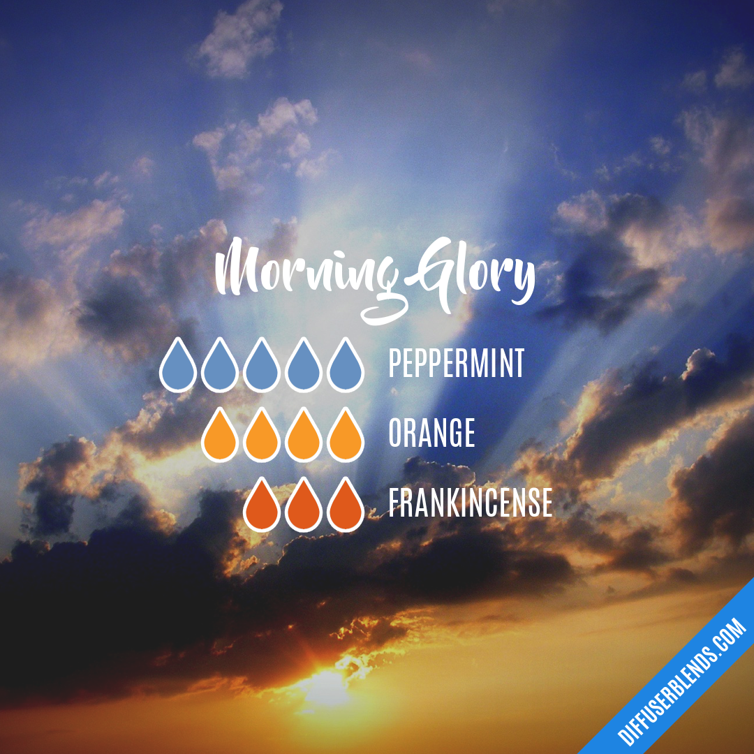 Morning Glory — Essential Oil Diffuser Blend