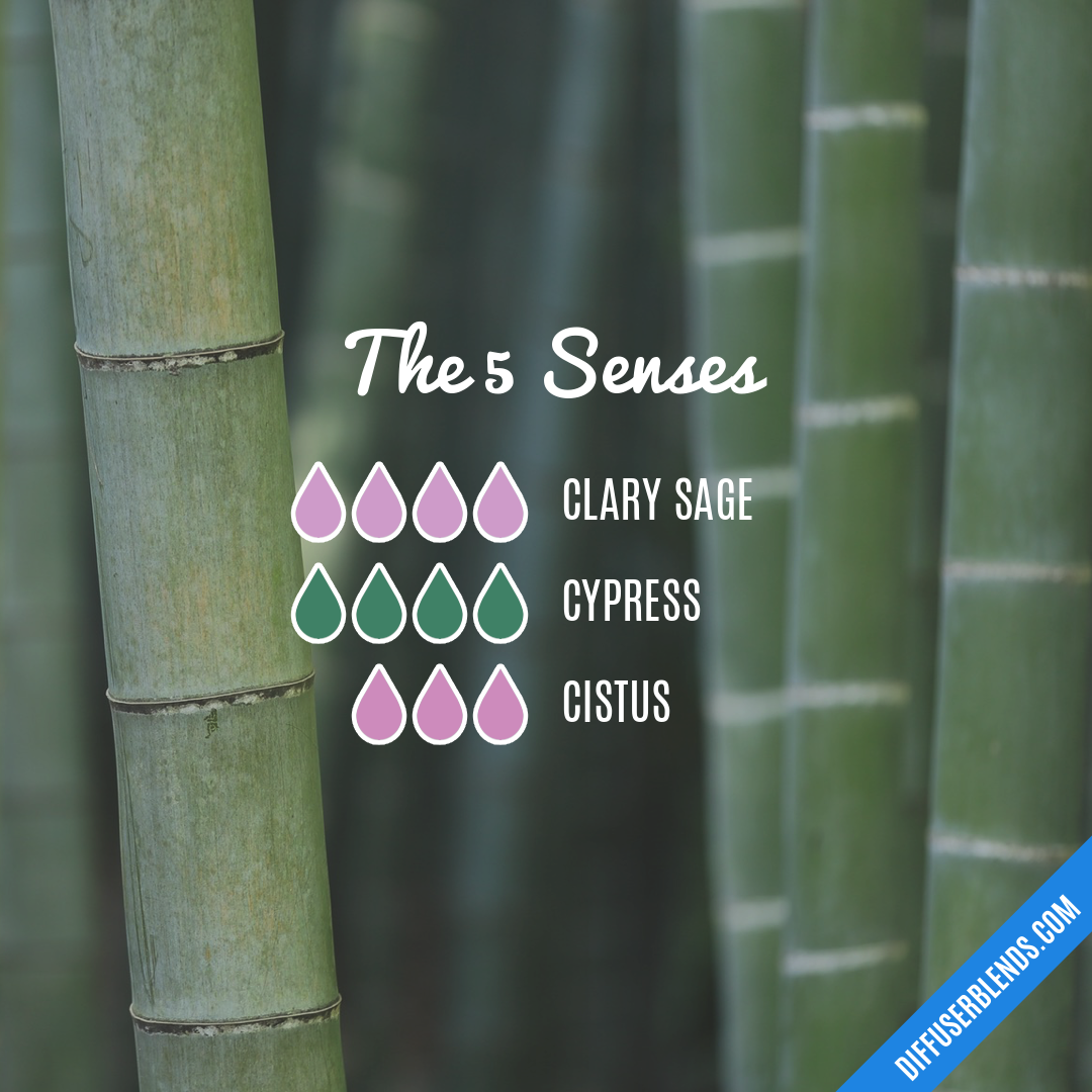 The 5 Senses — Essential Oil Diffuser Blend