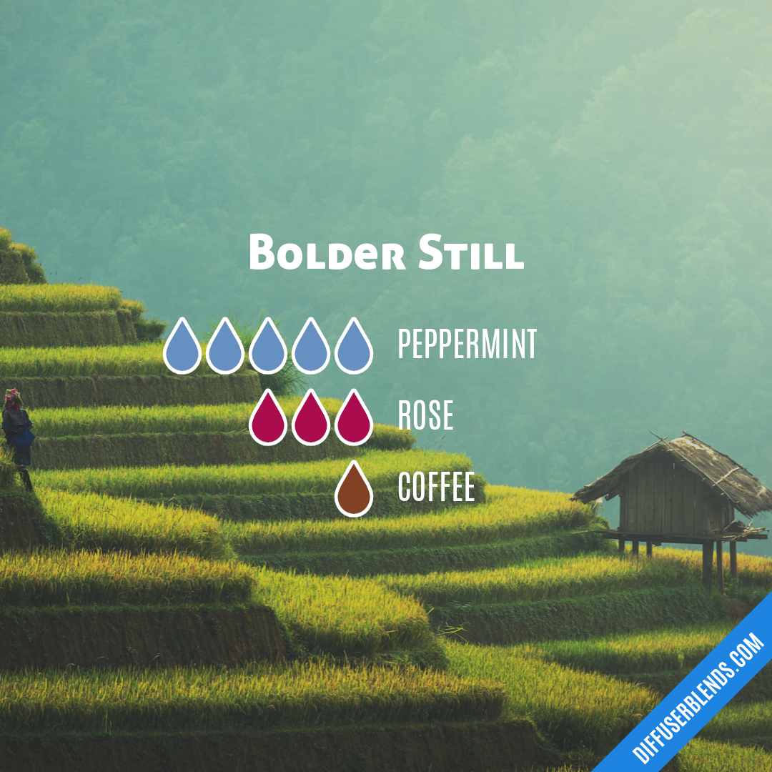 Bolder Still — Essential Oil Diffuser Blend