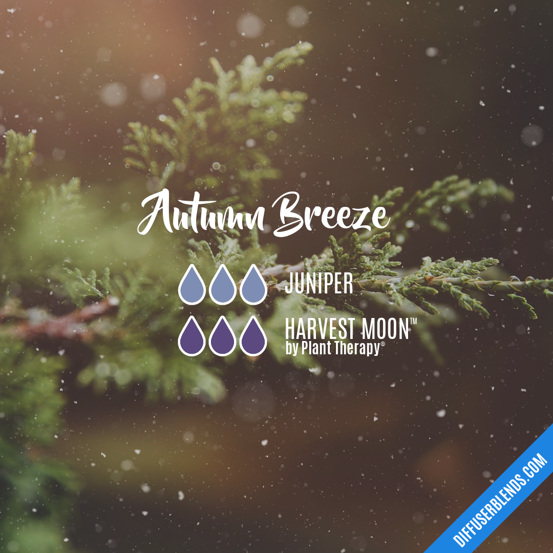 Autumn Breeze — Essential Oil Diffuser Blend