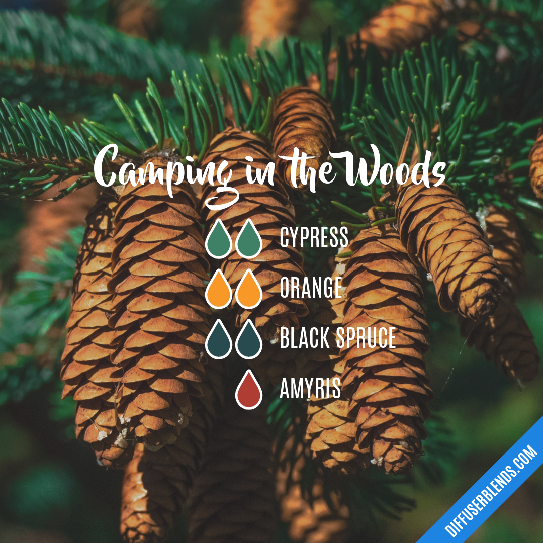 Camping in the Woods — Essential Oil Diffuser Blend