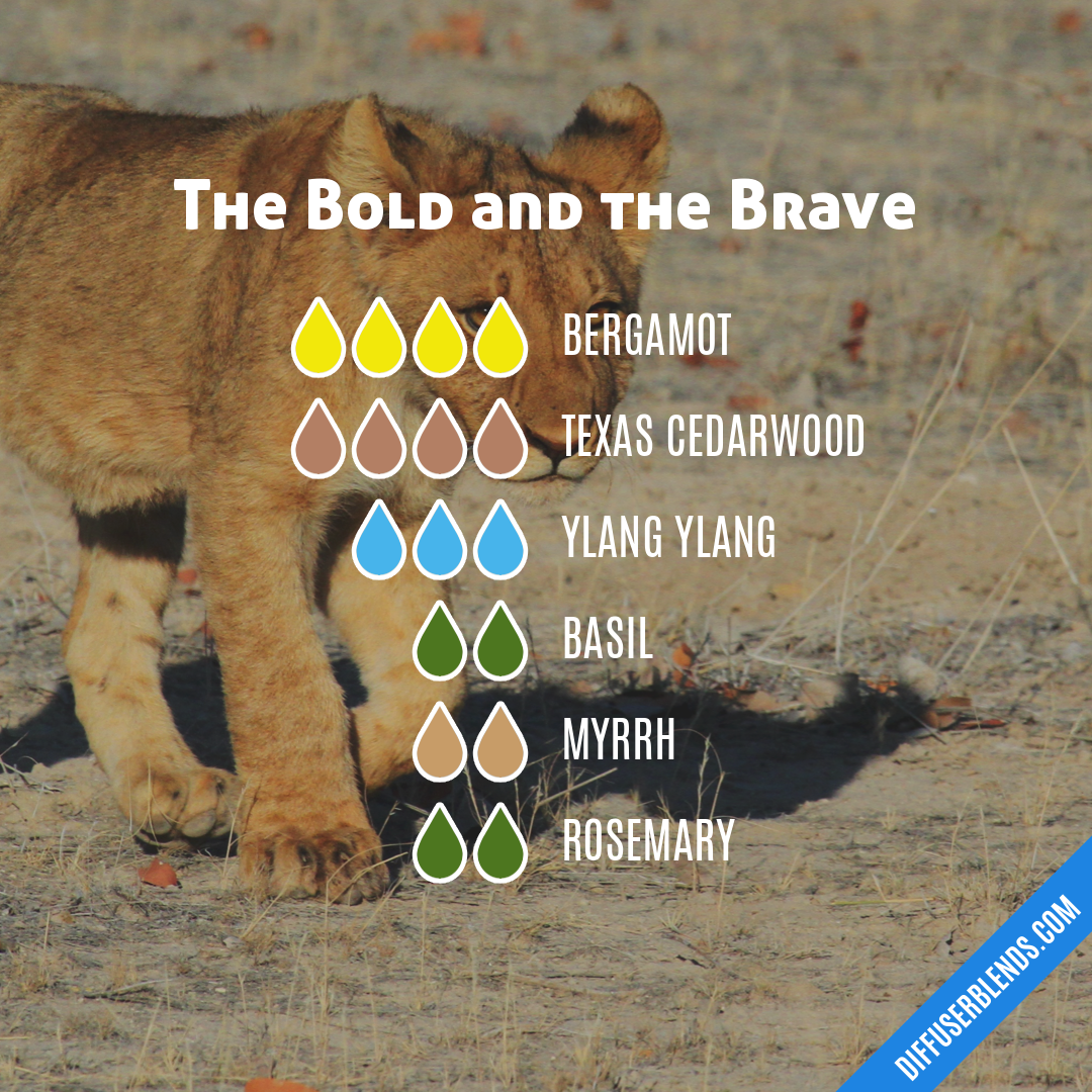 The Bold and the Brave — Essential Oil Diffuser Blend