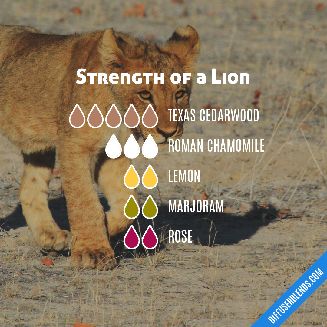 Strength of a Lion — Essential Oil Diffuser Blend