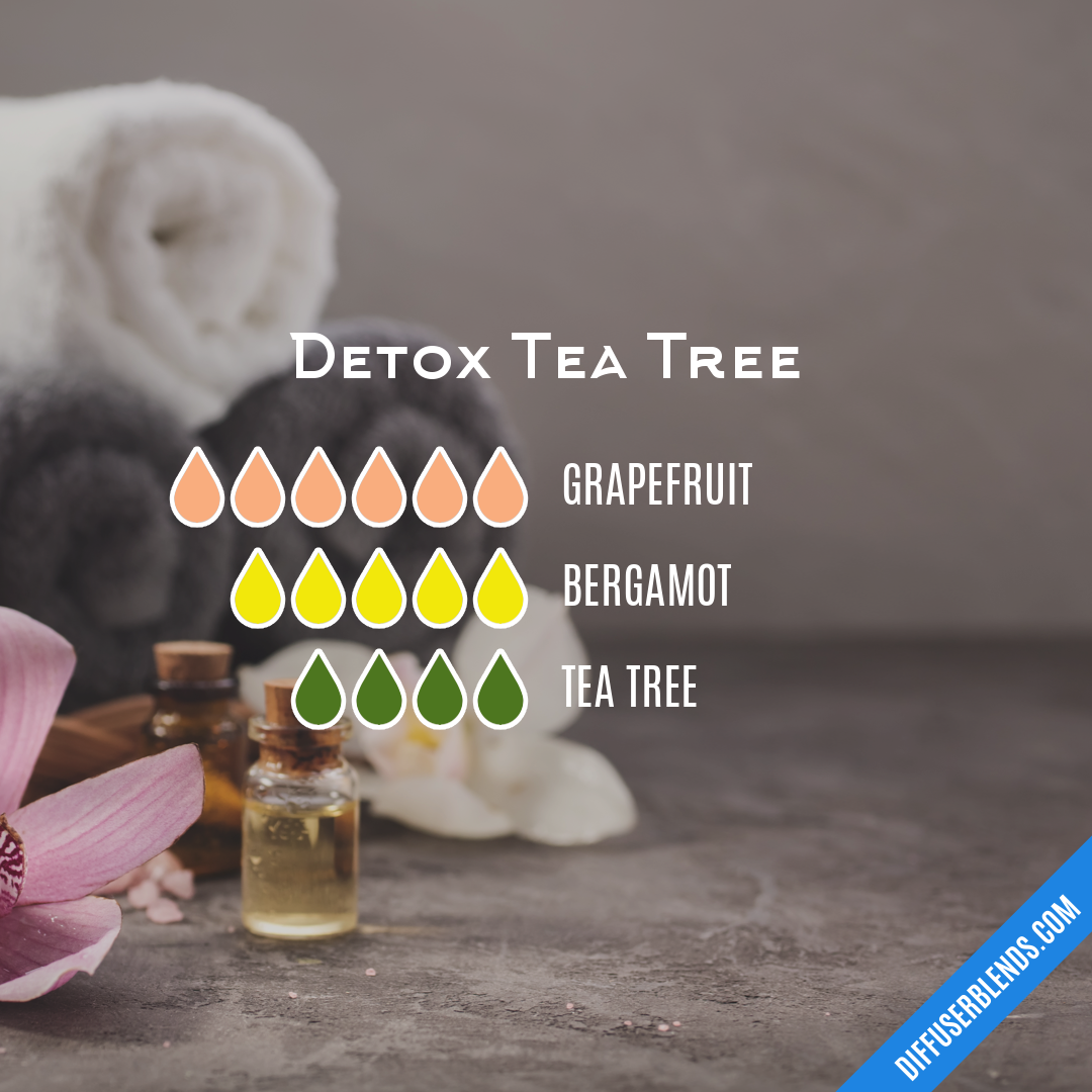 Detox Tea Tree — Essential Oil Diffuser Blend