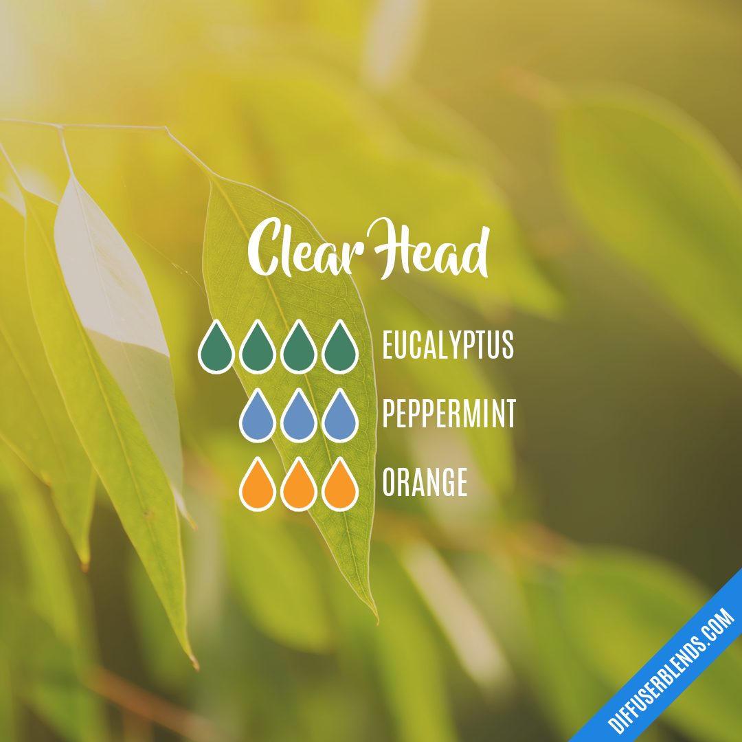 Clear Head — Essential Oil Diffuser Blend