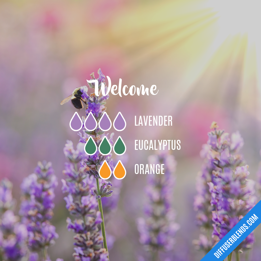 Welcome — Essential Oil Diffuser Blend