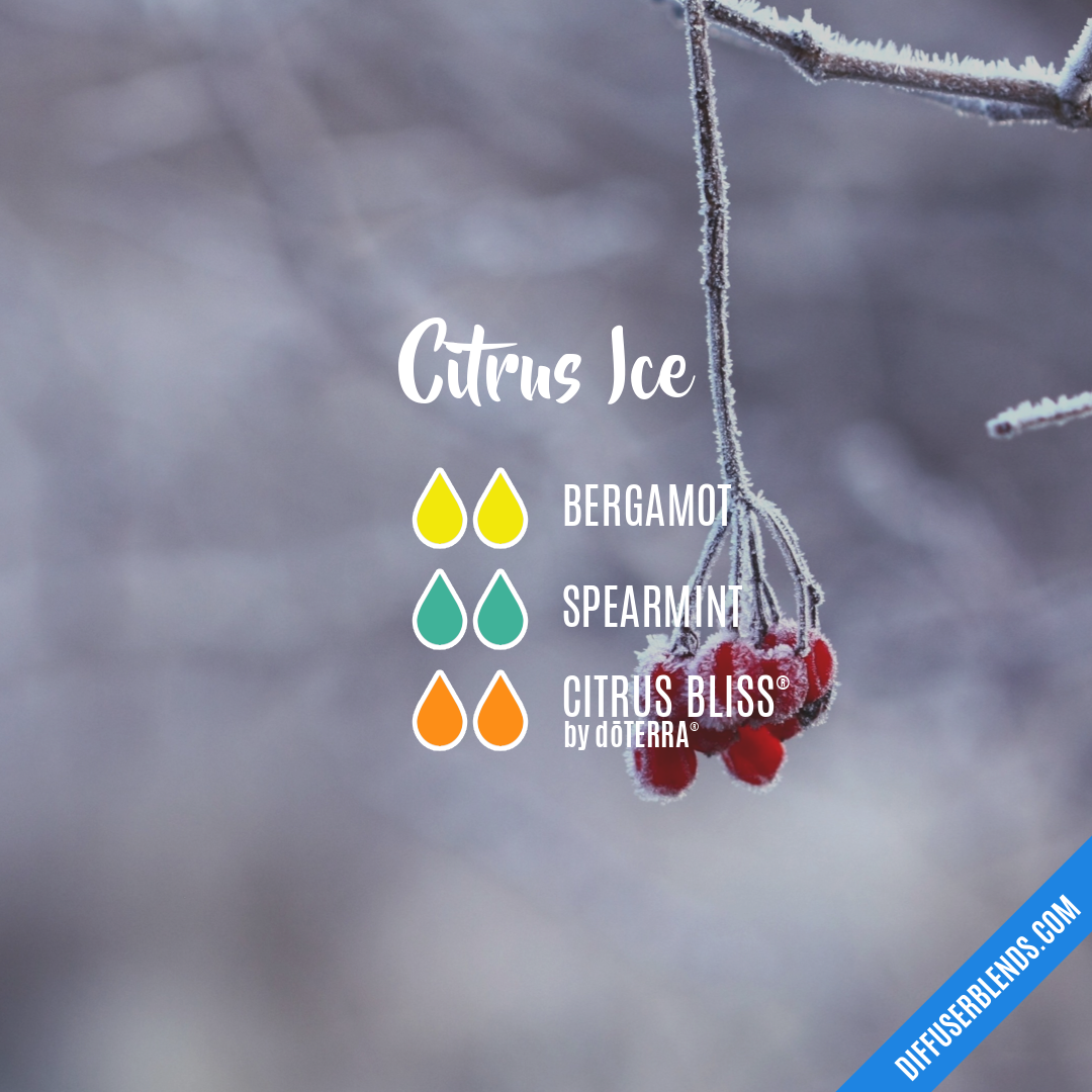 Citrus Ice — Essential Oil Diffuser Blend