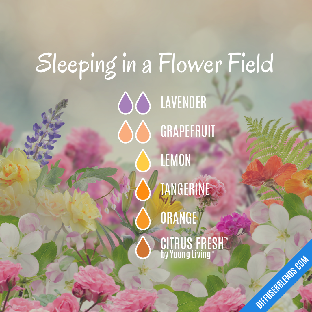 Sleeping in a Flower Field — Essential Oil Diffuser Blend