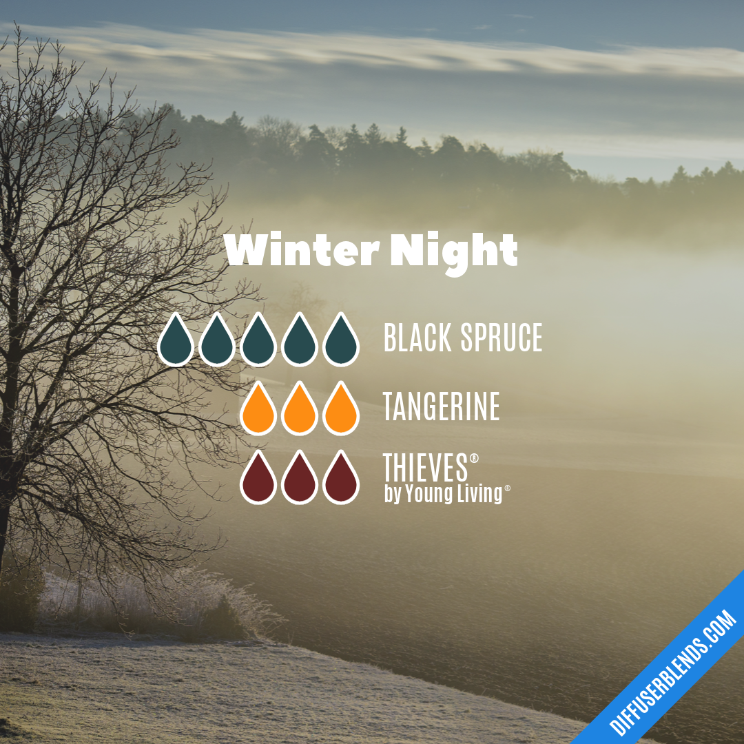 Winter Night — Essential Oil Diffuser Blend