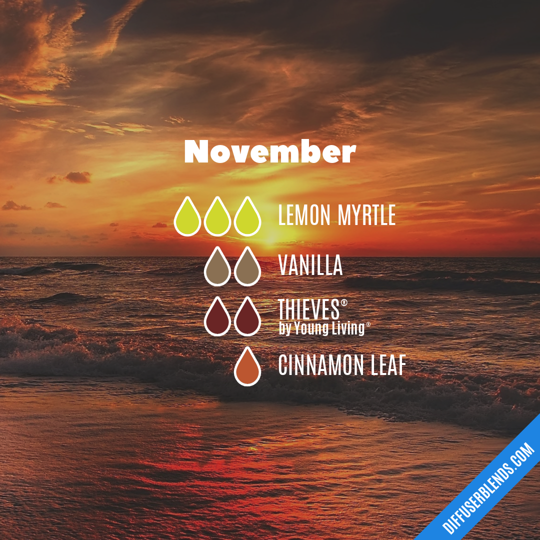 November — Essential Oil Diffuser Blend