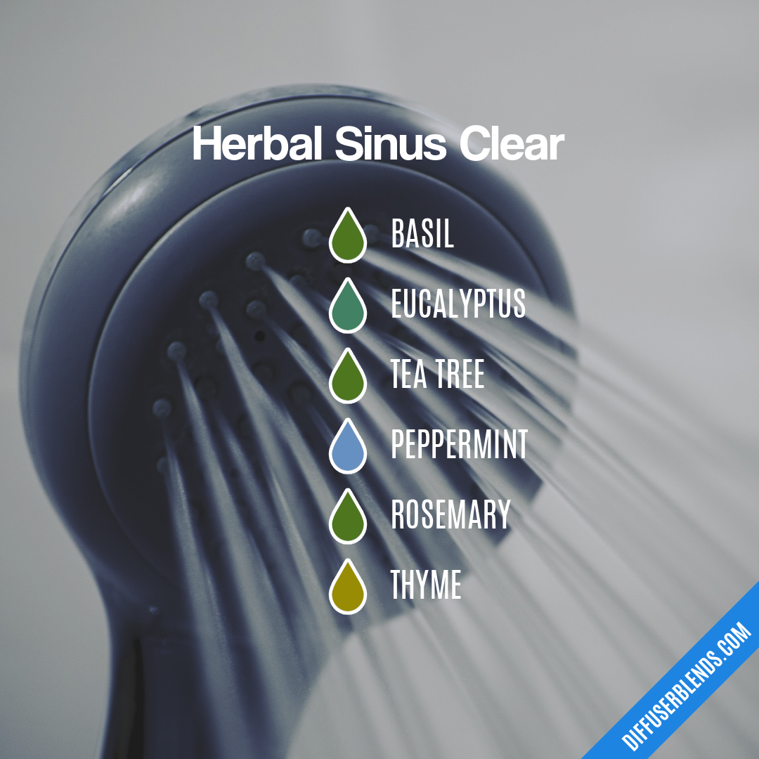 Herbal Sinus Clear — Essential Oil Diffuser Blend