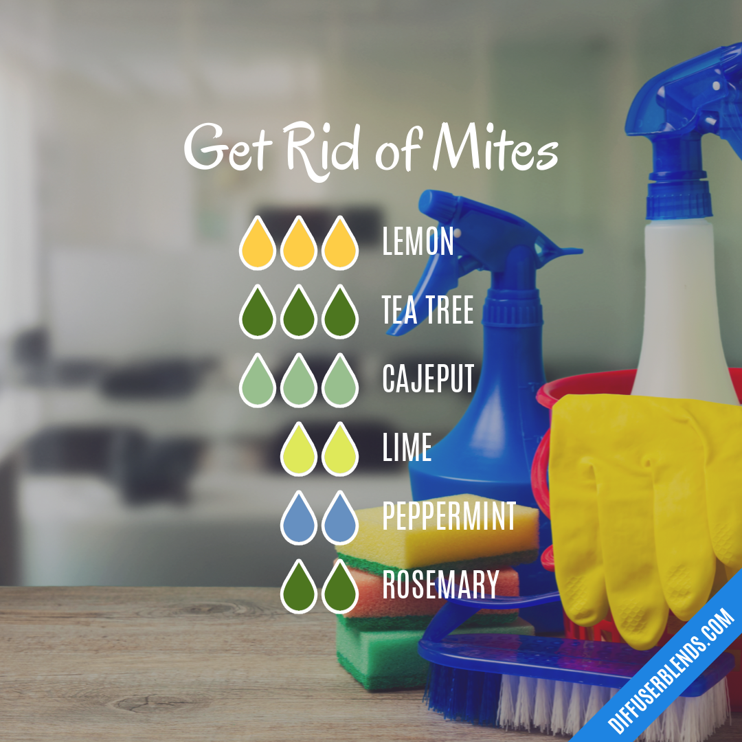 Get Rid of Mites — Essential Oil Diffuser Blend