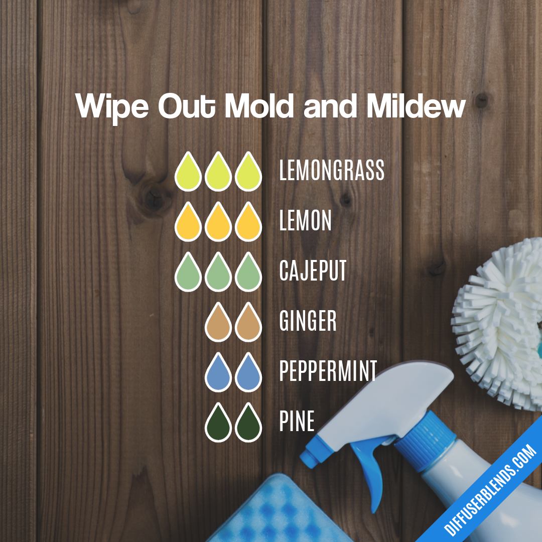 Wipe Out Mold and Mildew — Essential Oil Diffuser Blend