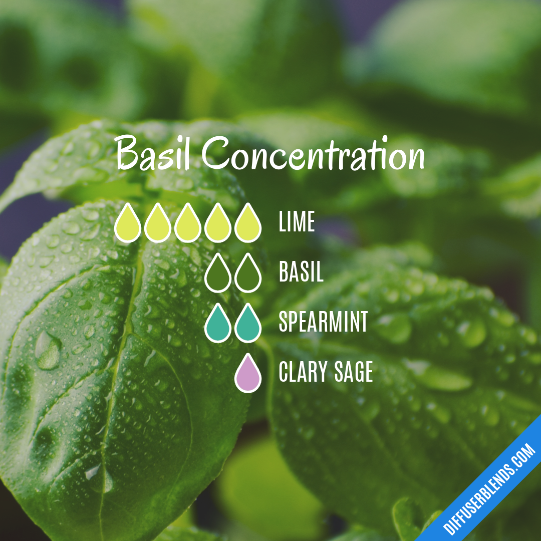 Basil Concentration | DiffuserBlends.com