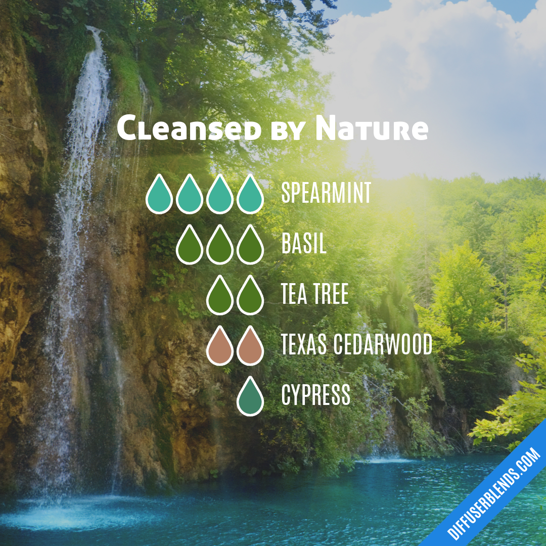 Cleansed by Nature — Essential Oil Diffuser Blend