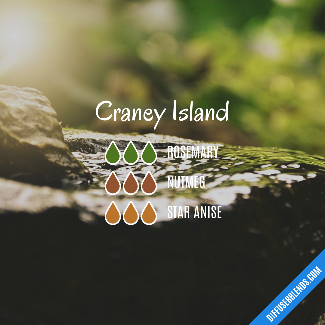 Craney Island — Essential Oil Diffuser Blend