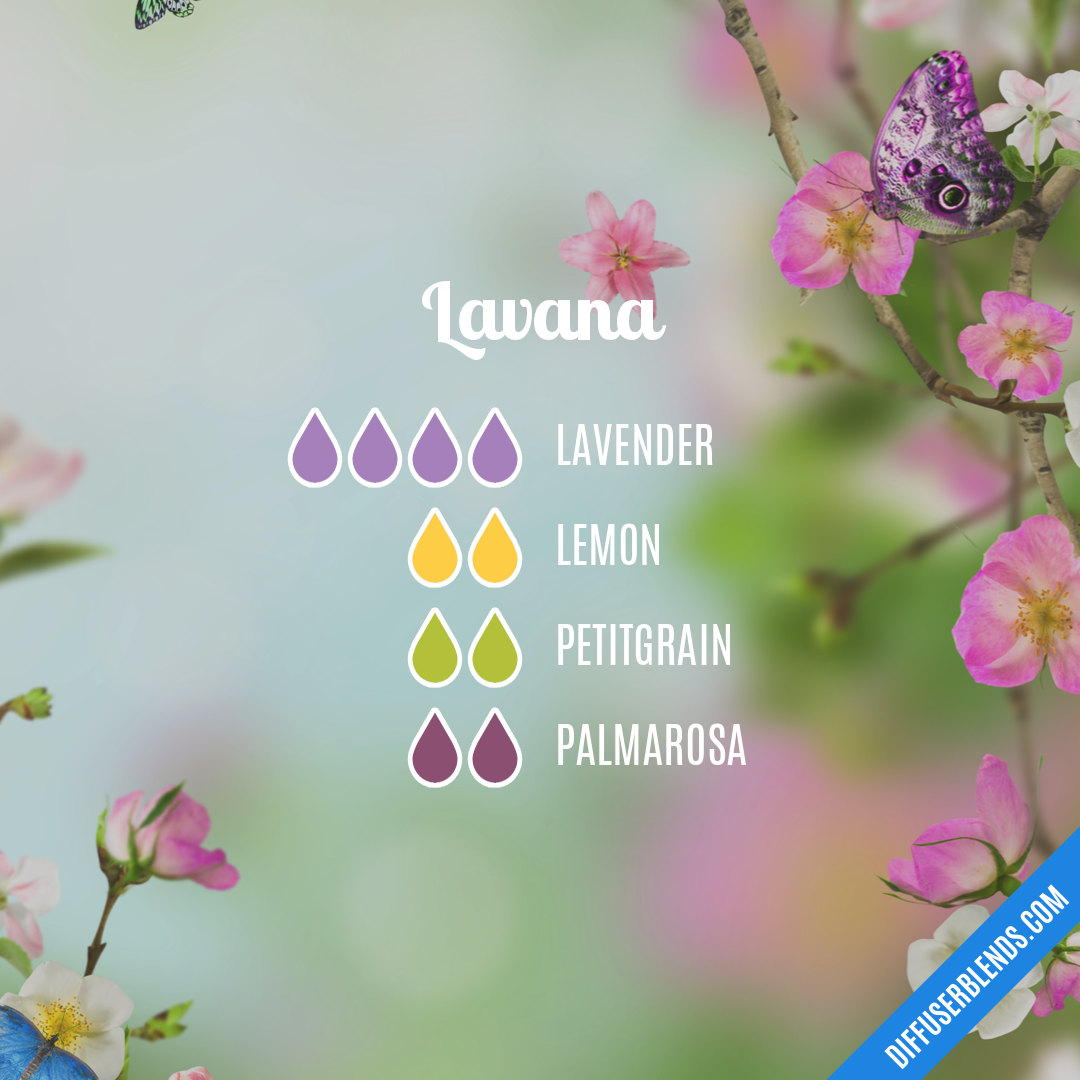 Lavana — Essential Oil Diffuser Blend