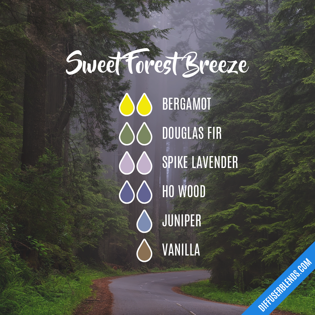 Sweet Forest Breeze — Essential Oil Diffuser Blend