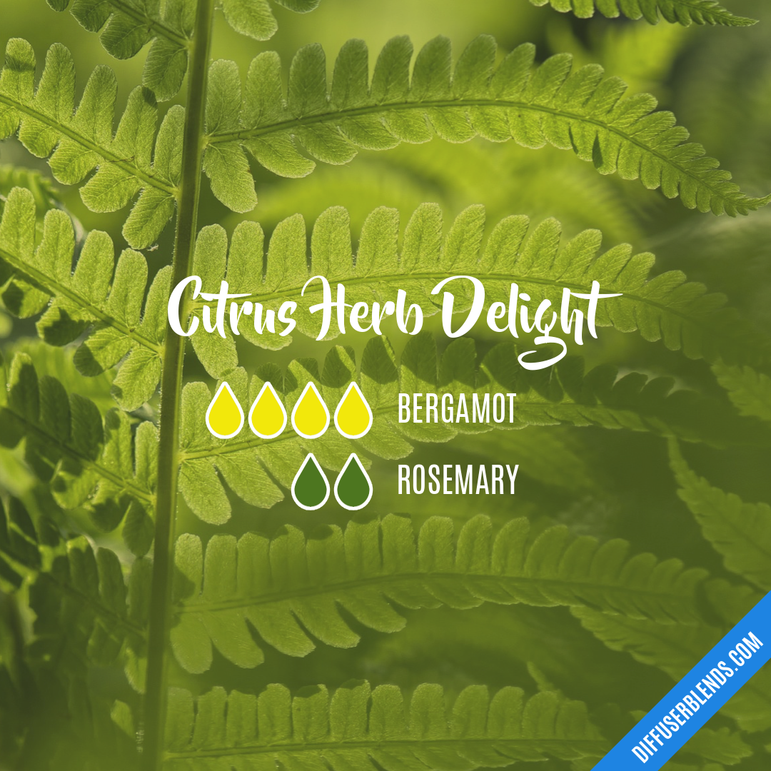 Citrus Herb Delight — Essential Oil Diffuser Blend