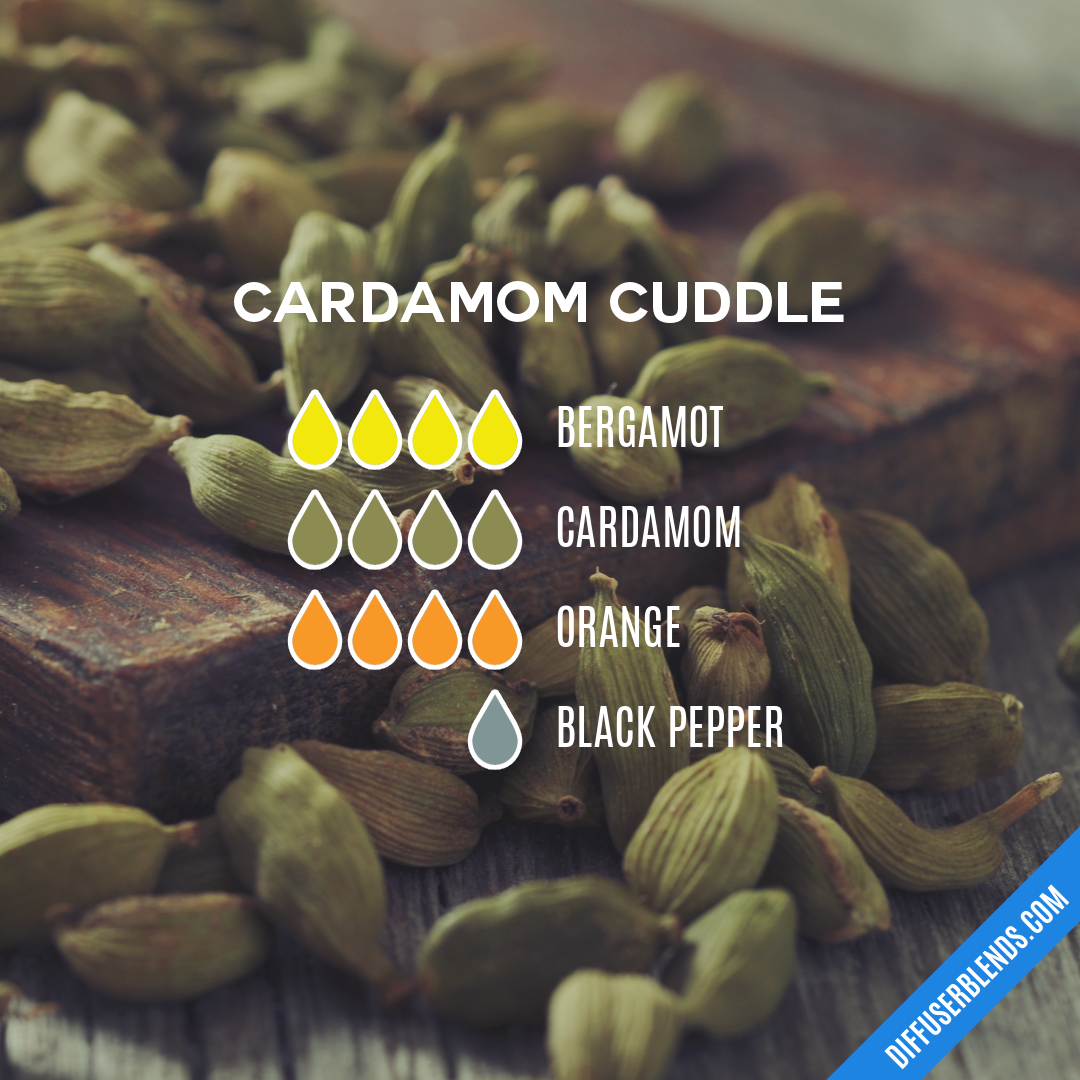 Cardamom Cuddle — Essential Oil Diffuser Blend