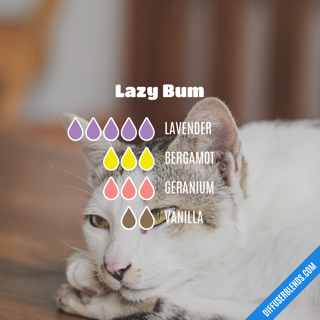 Lazy Bum — Essential Oil Diffuser Blend