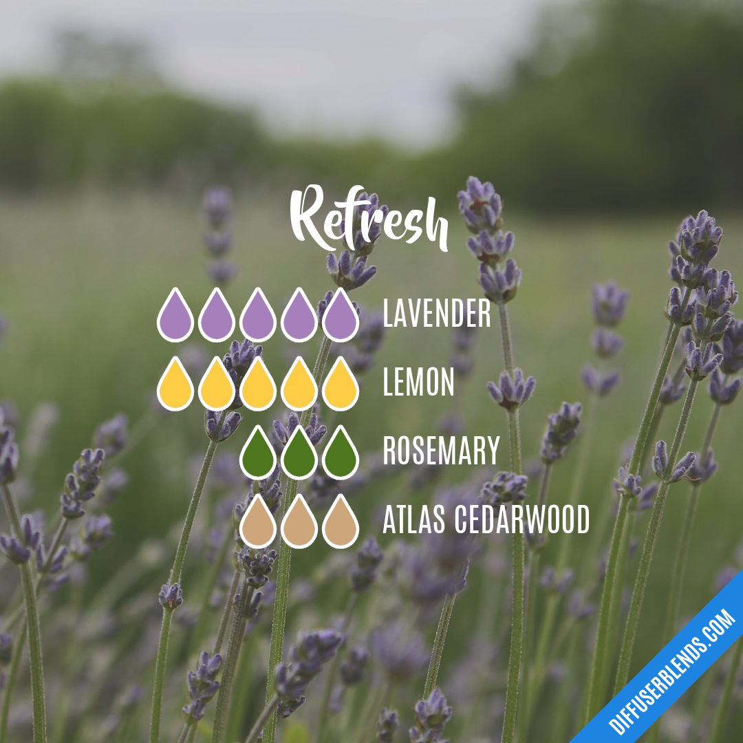 Refresh — Essential Oil Diffuser Blend