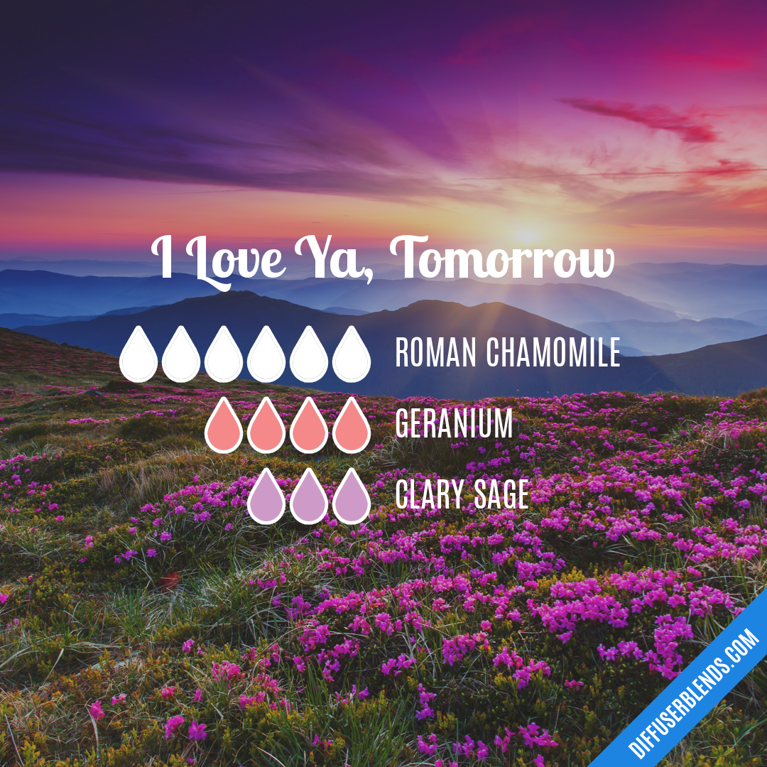 I Love Ya, Tomorrow — Essential Oil Diffuser Blend