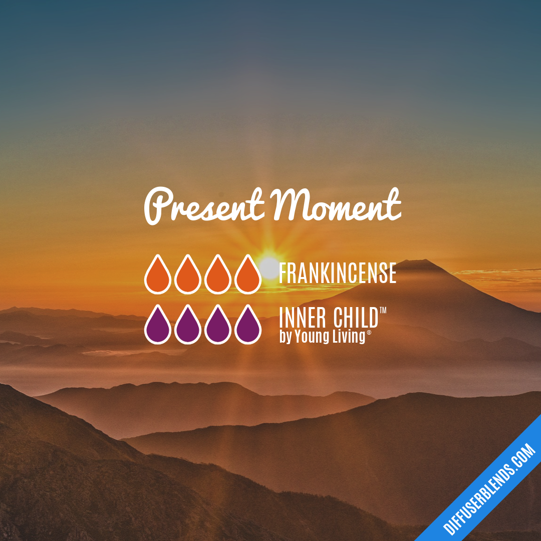 Present Moment — Essential Oil Diffuser Blend