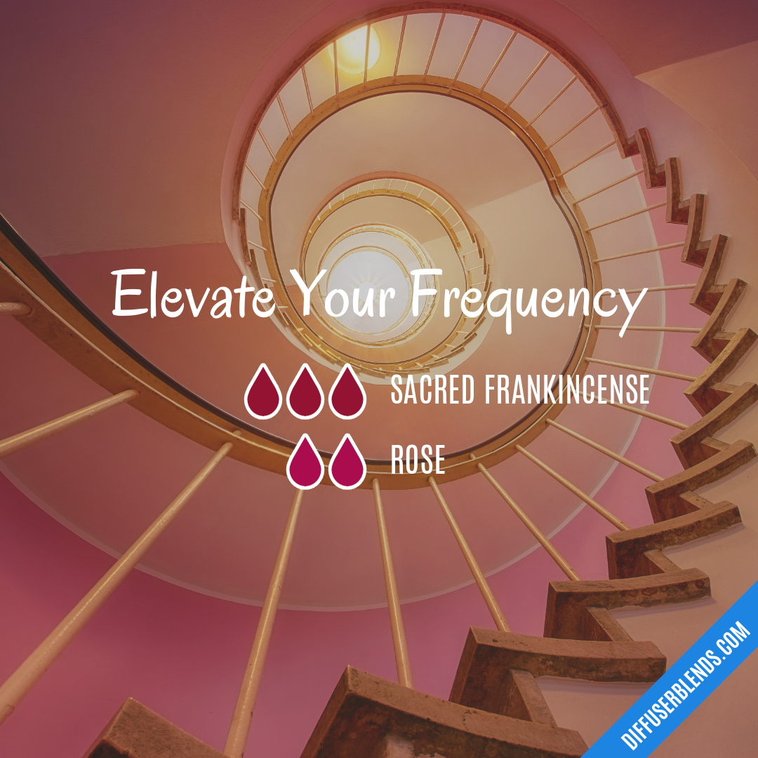 Elevate Your Frequency — Essential Oil Diffuser Blend