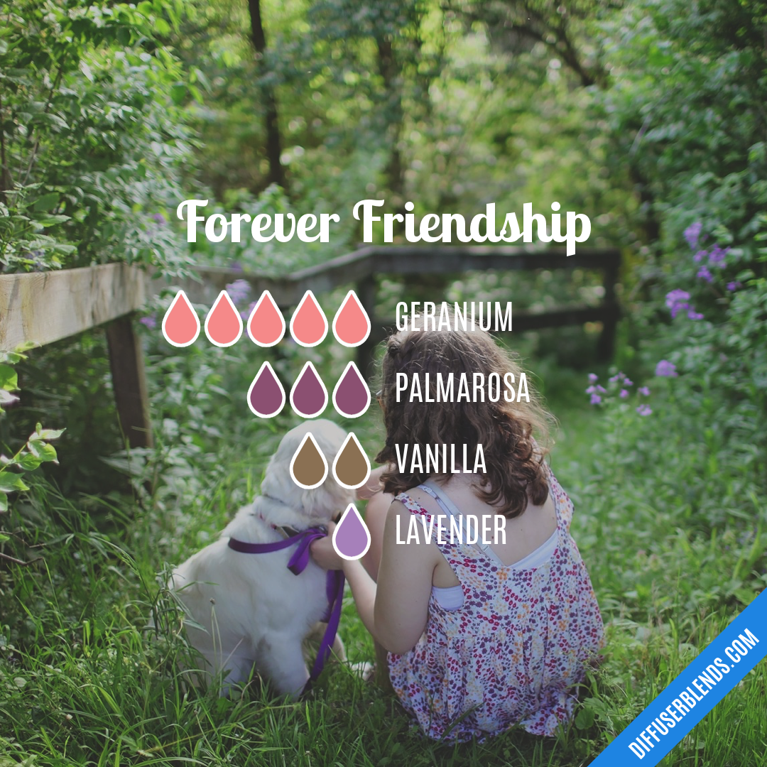 Forever Friendship — Essential Oil Diffuser Blend