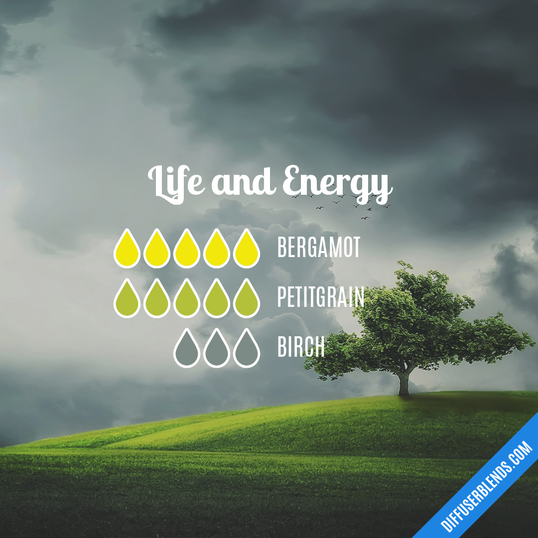 Life and Energy — Essential Oil Diffuser Blend