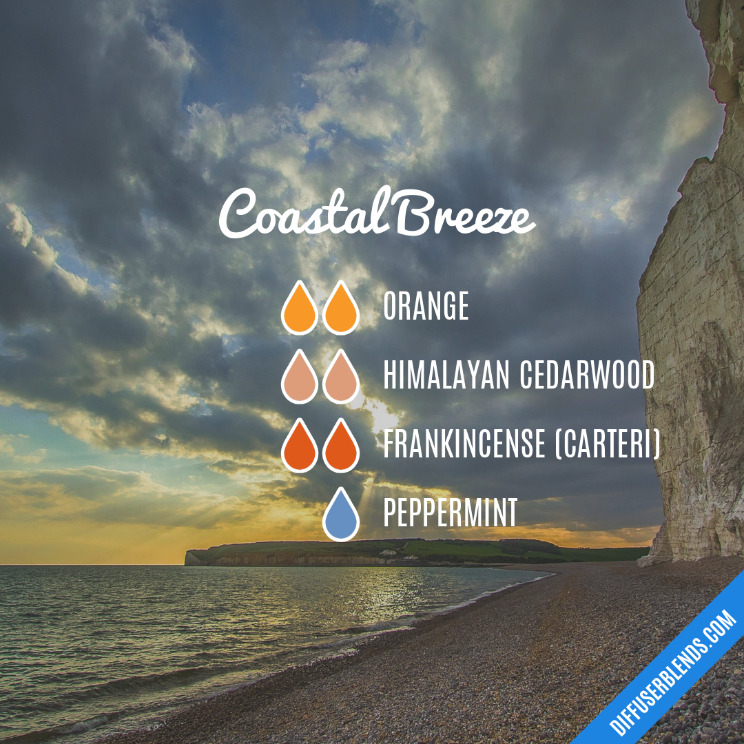 Coastal Breeze — Essential Oil Diffuser Blend