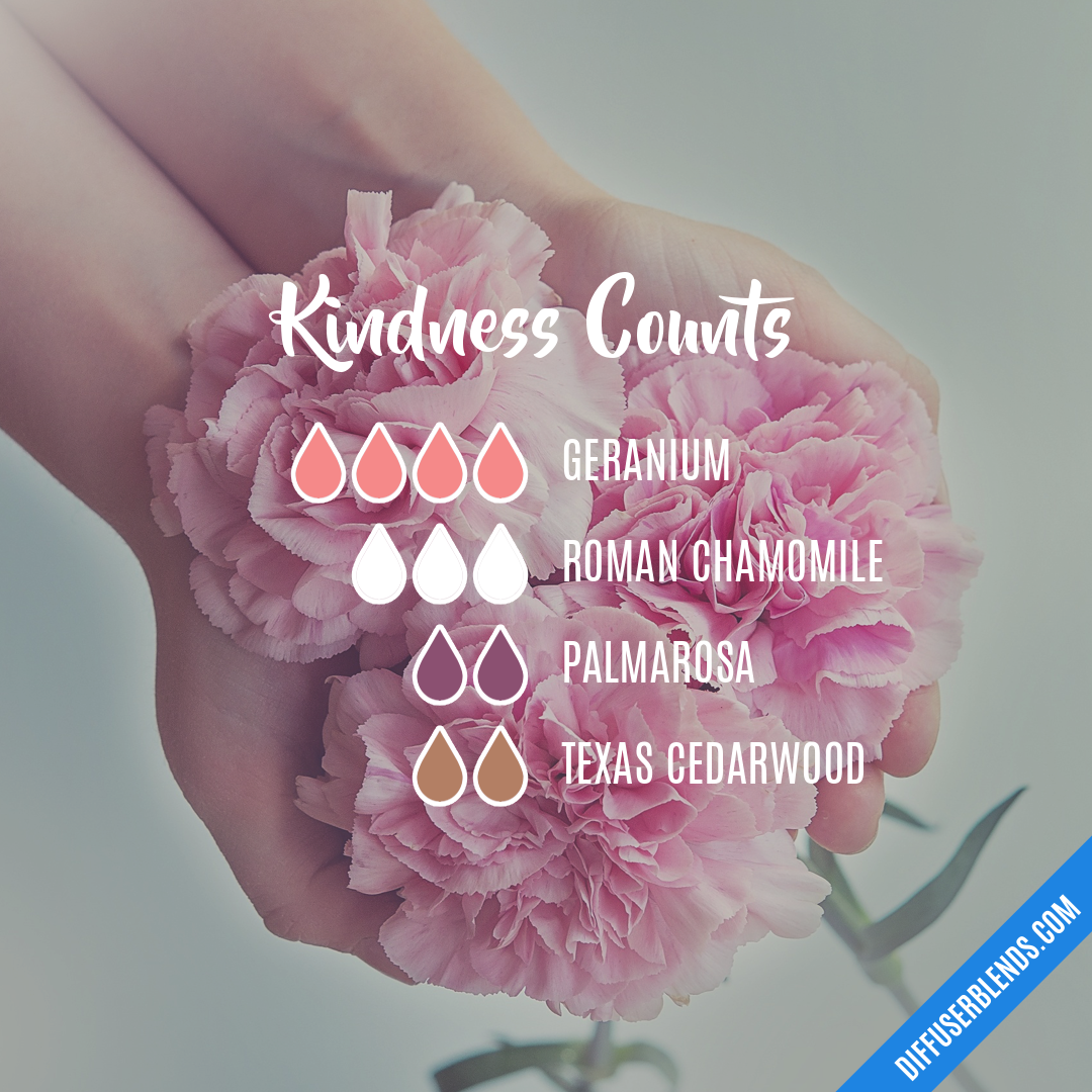 Kindness Counts — Essential Oil Diffuser Blend