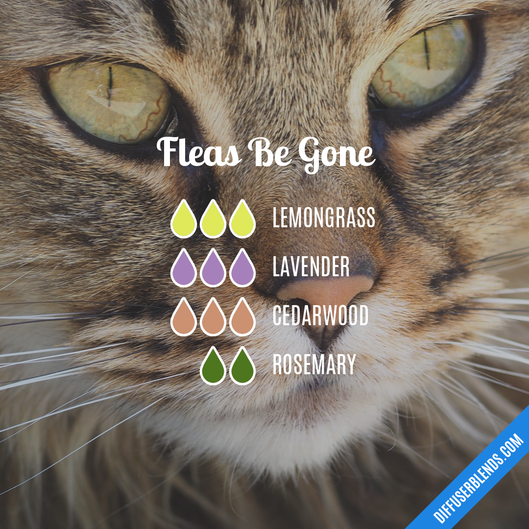 Fleas Be Gone — Essential Oil Diffuser Blend