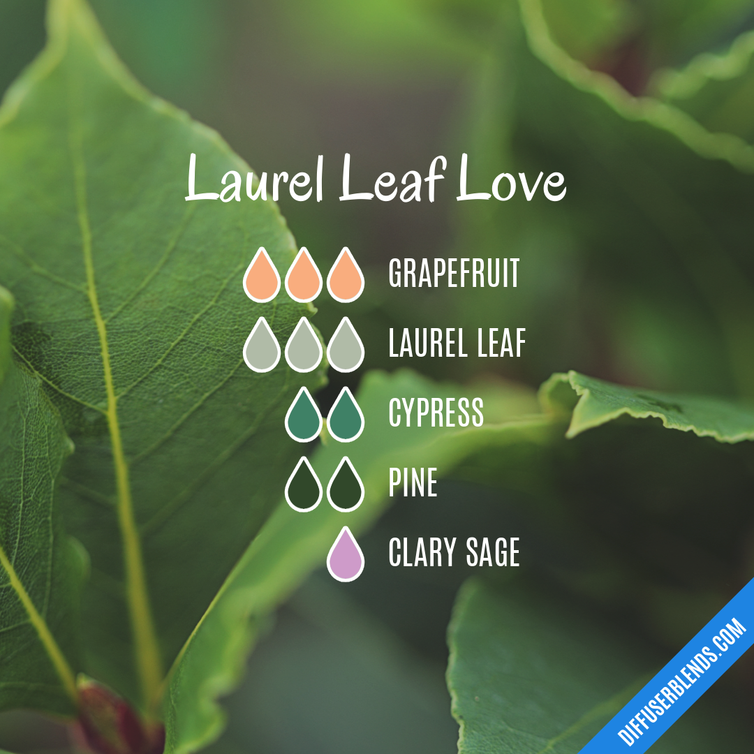 Laurel Leaf Love — Essential Oil Diffuser Blend