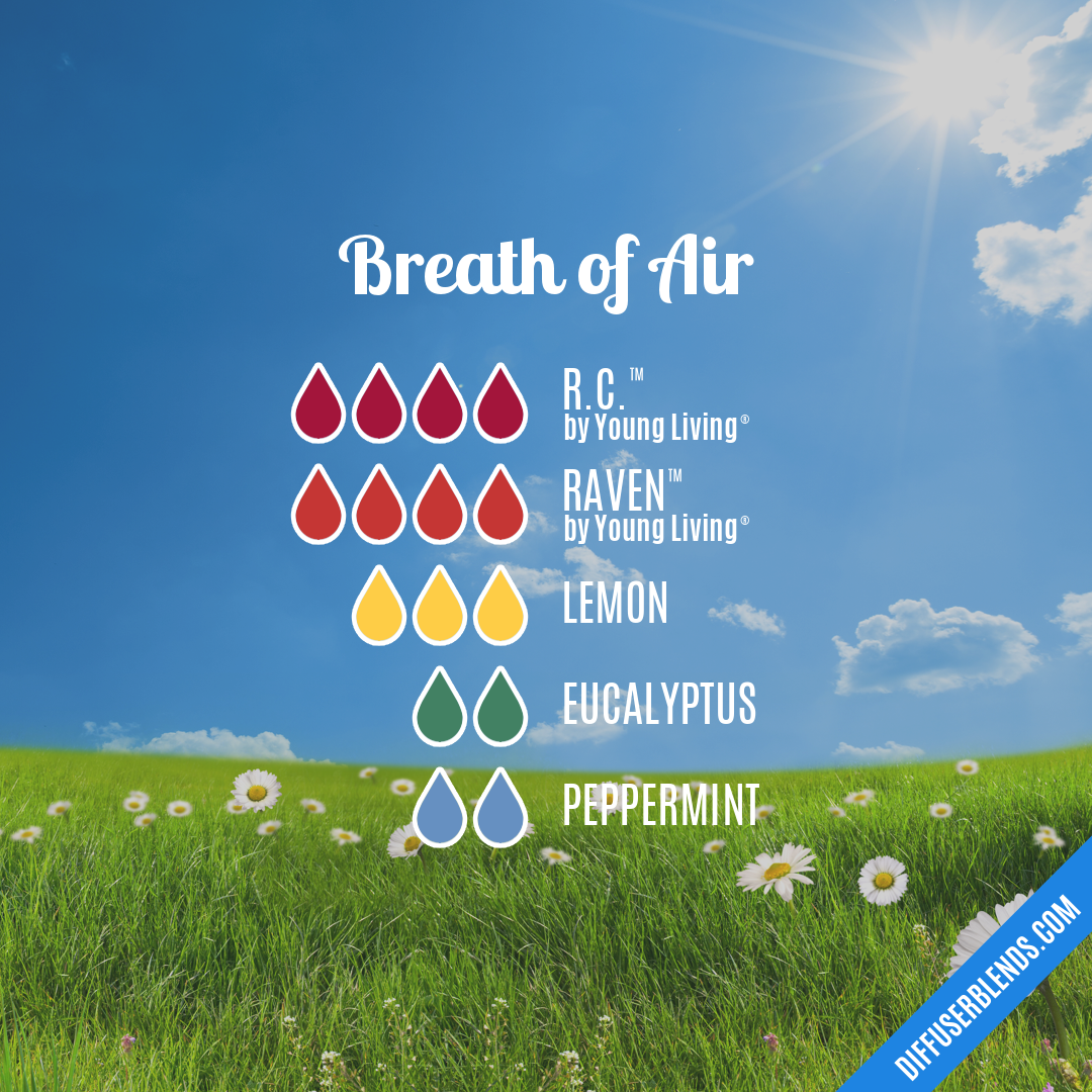 Breath of Air — Essential Oil Diffuser Blend