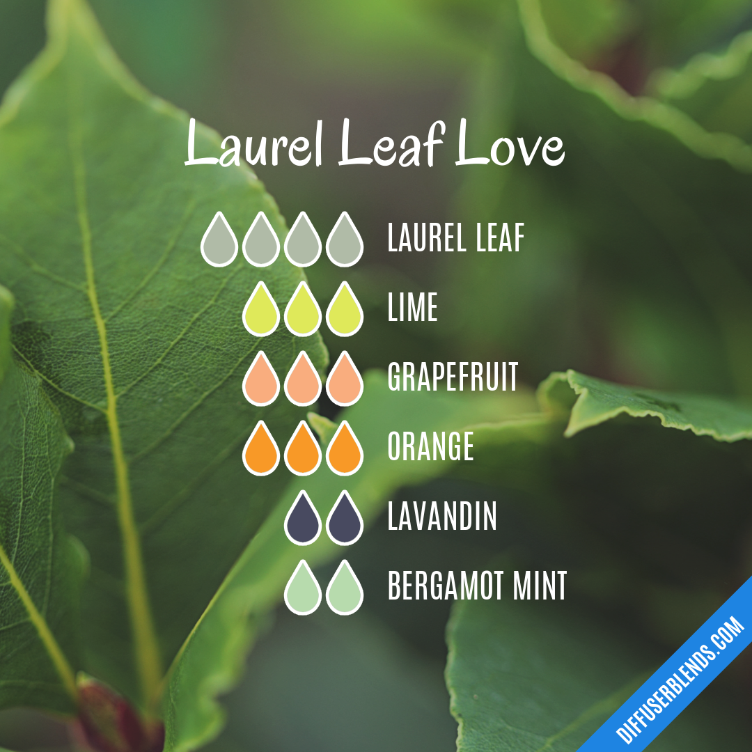 Laurel Leaf Love — Essential Oil Diffuser Blend