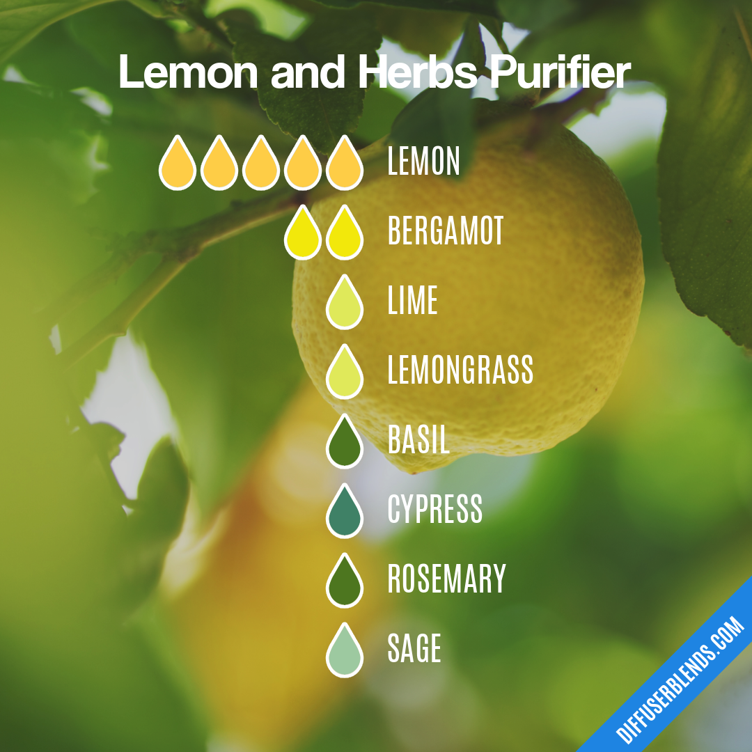 Lemon and Herbs Purifier | DiffuserBlends.com