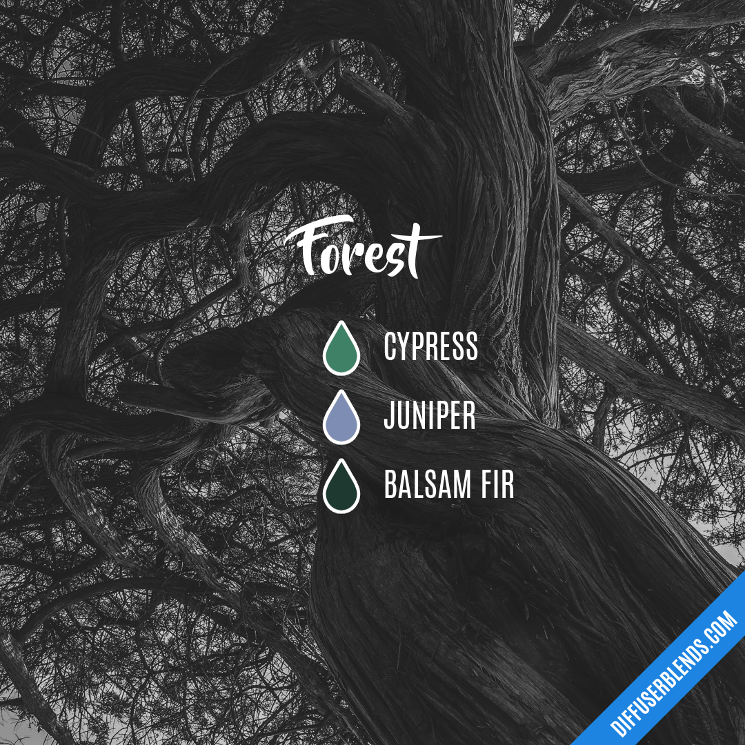 Forest — Essential Oil Diffuser Blend