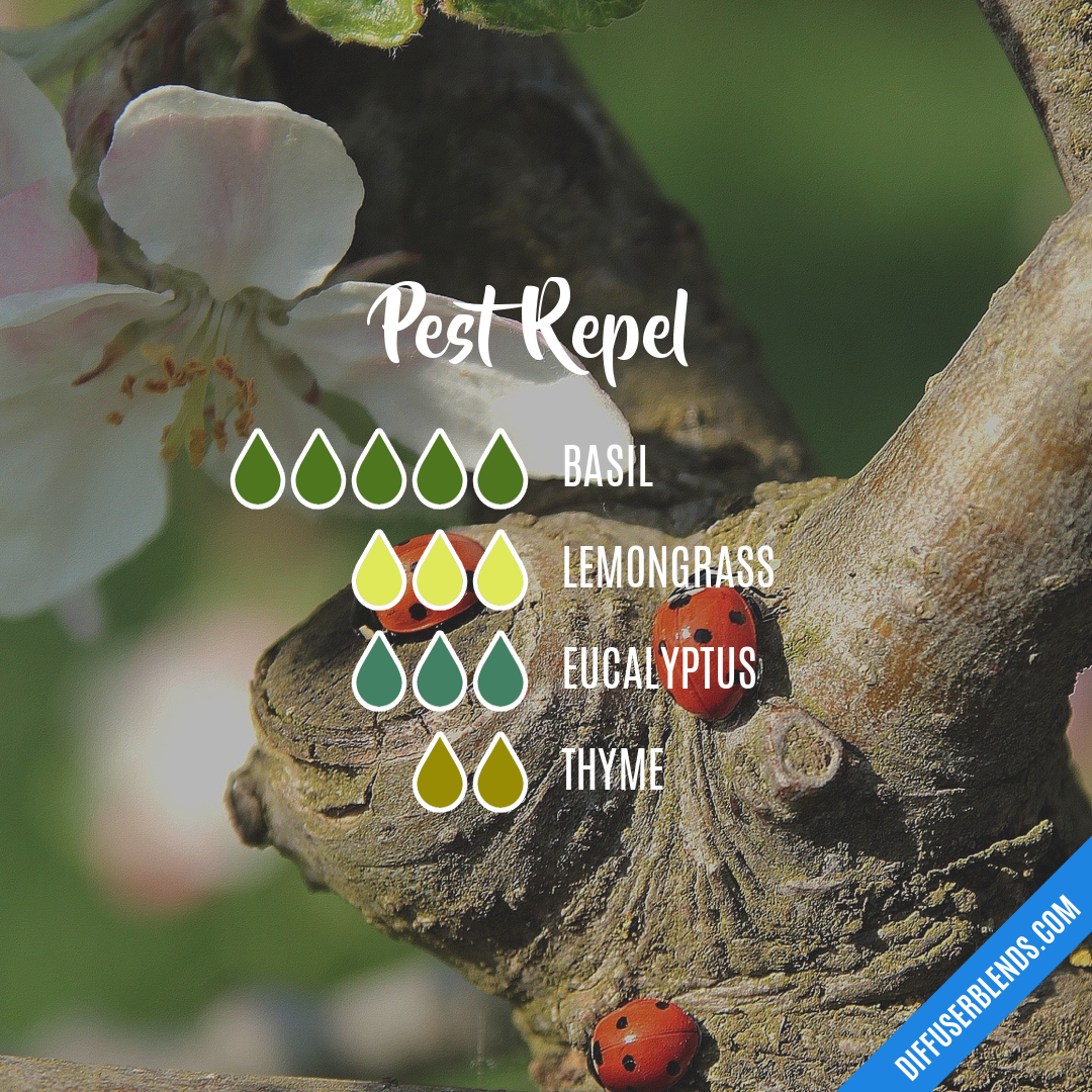 Pest Repel — Essential Oil Diffuser Blend