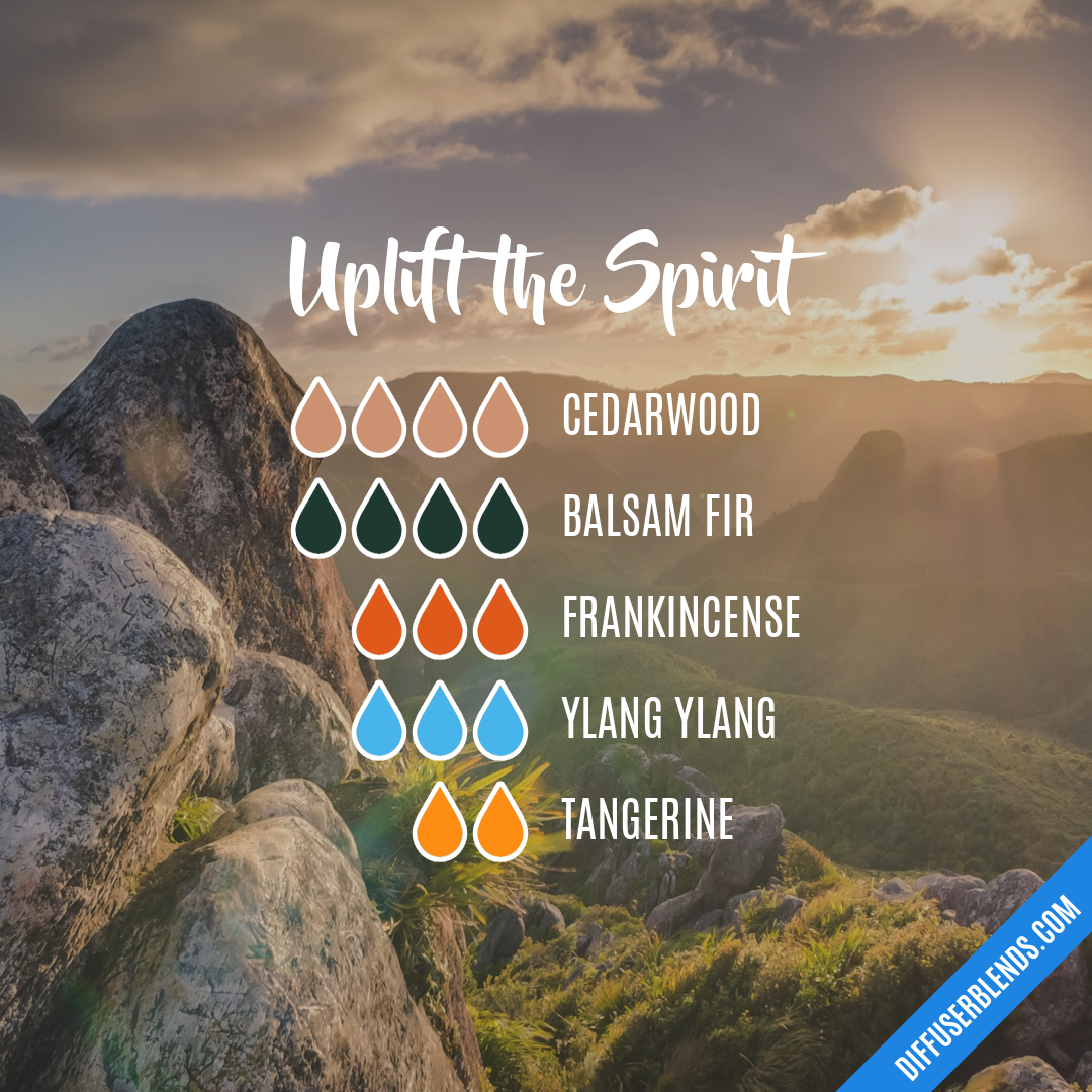 Uplift the Spirit — Essential Oil Diffuser Blend