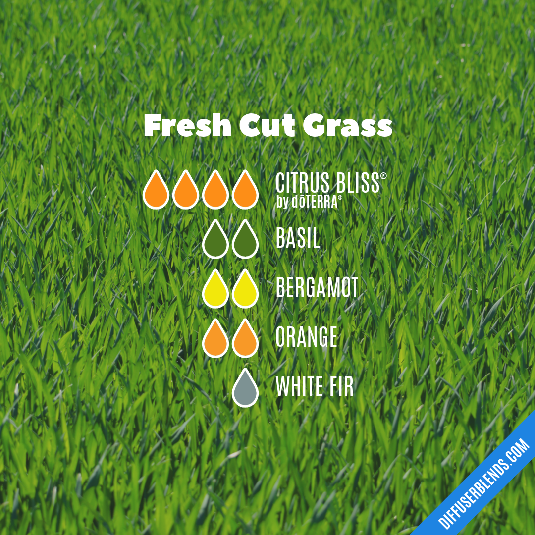 Fresh Cut Grass — Essential Oil Diffuser Blend