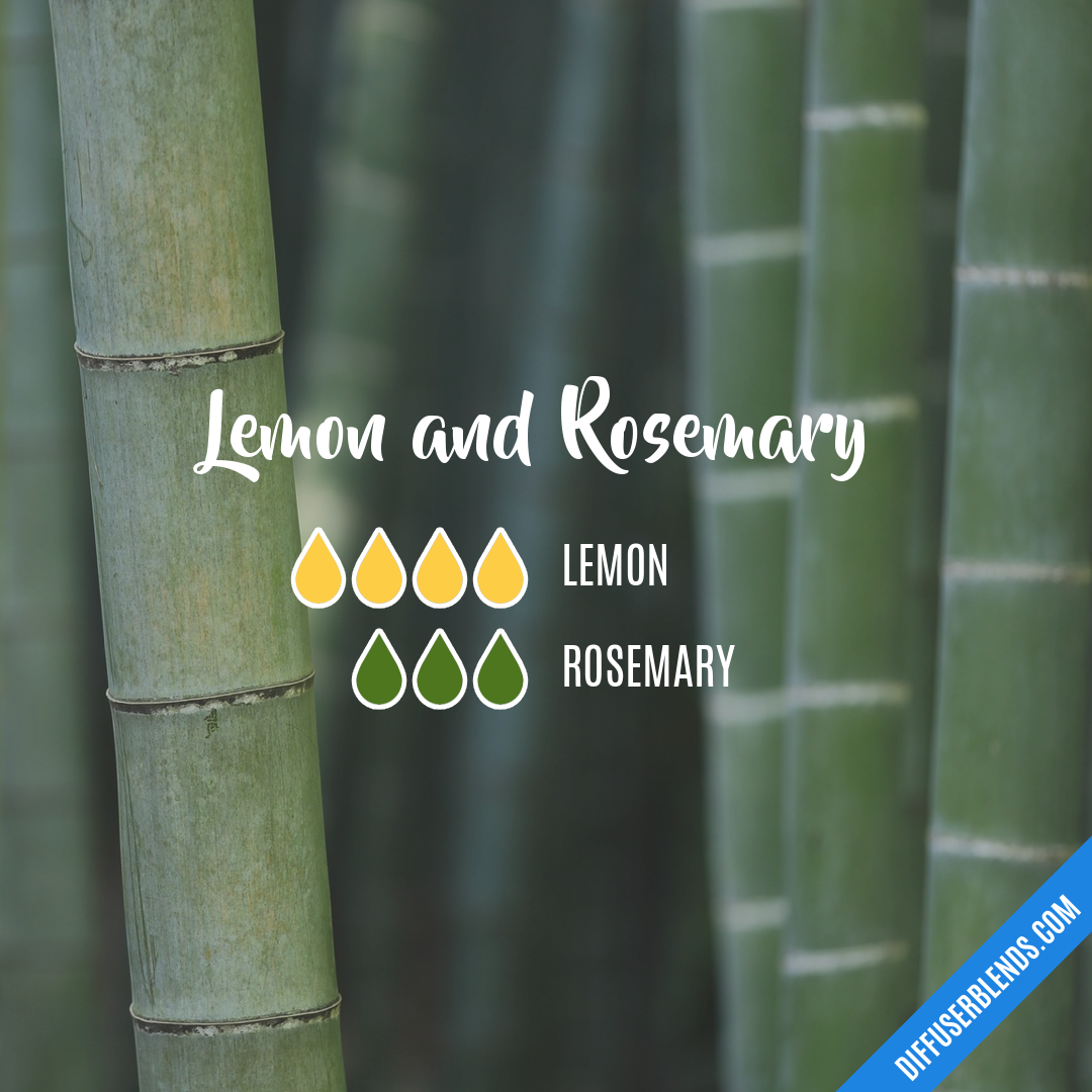 Lemon and Rosemary — Essential Oil Diffuser Blend