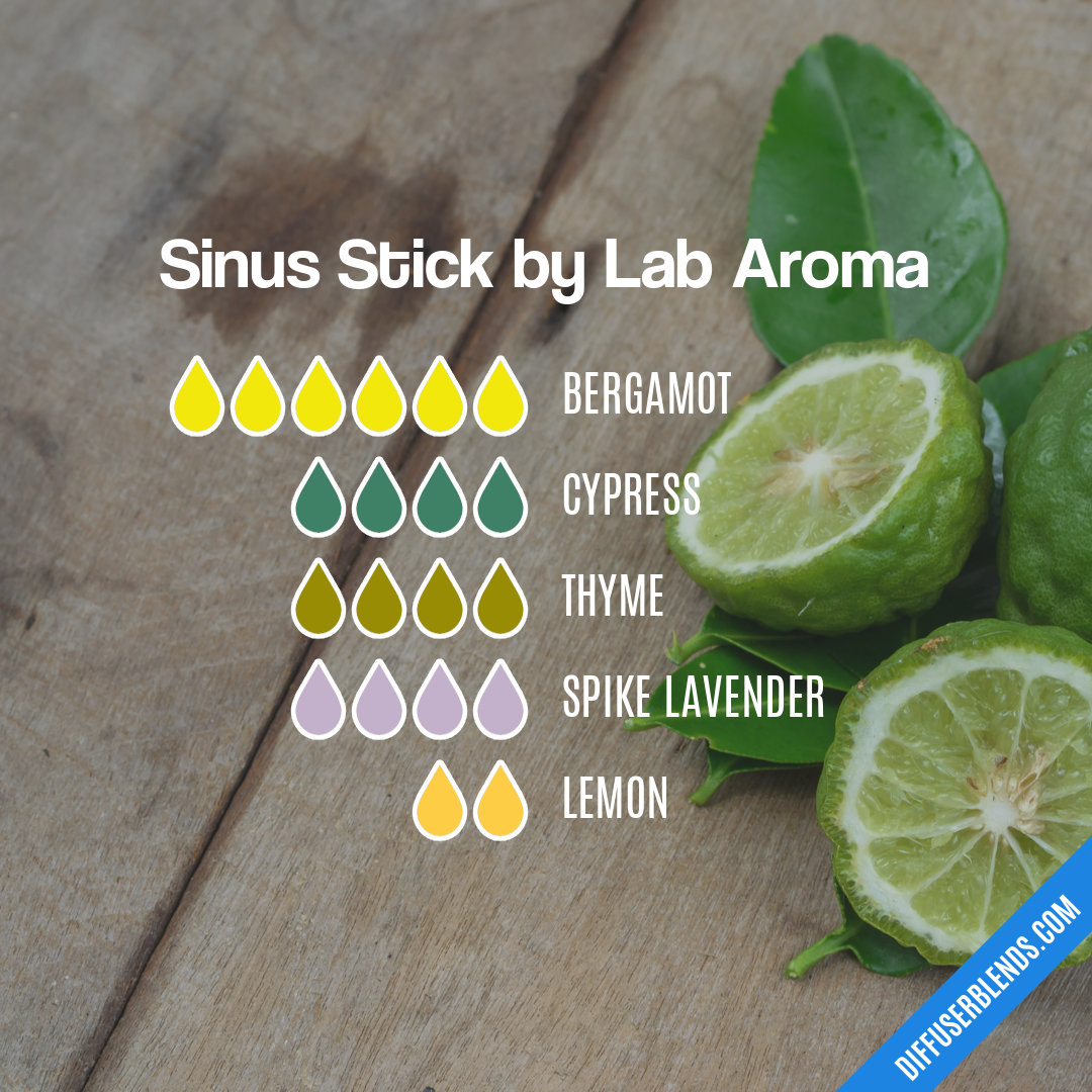 Sinus Stick by Lab Aroma — Essential Oil Diffuser Blend