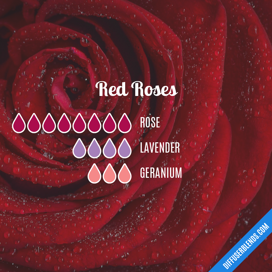 Red Roses — Essential Oil Diffuser Blend