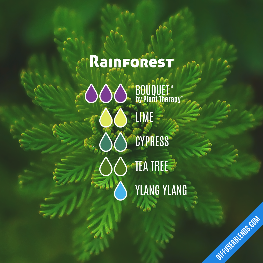 Rainforest — Essential Oil Diffuser Blend