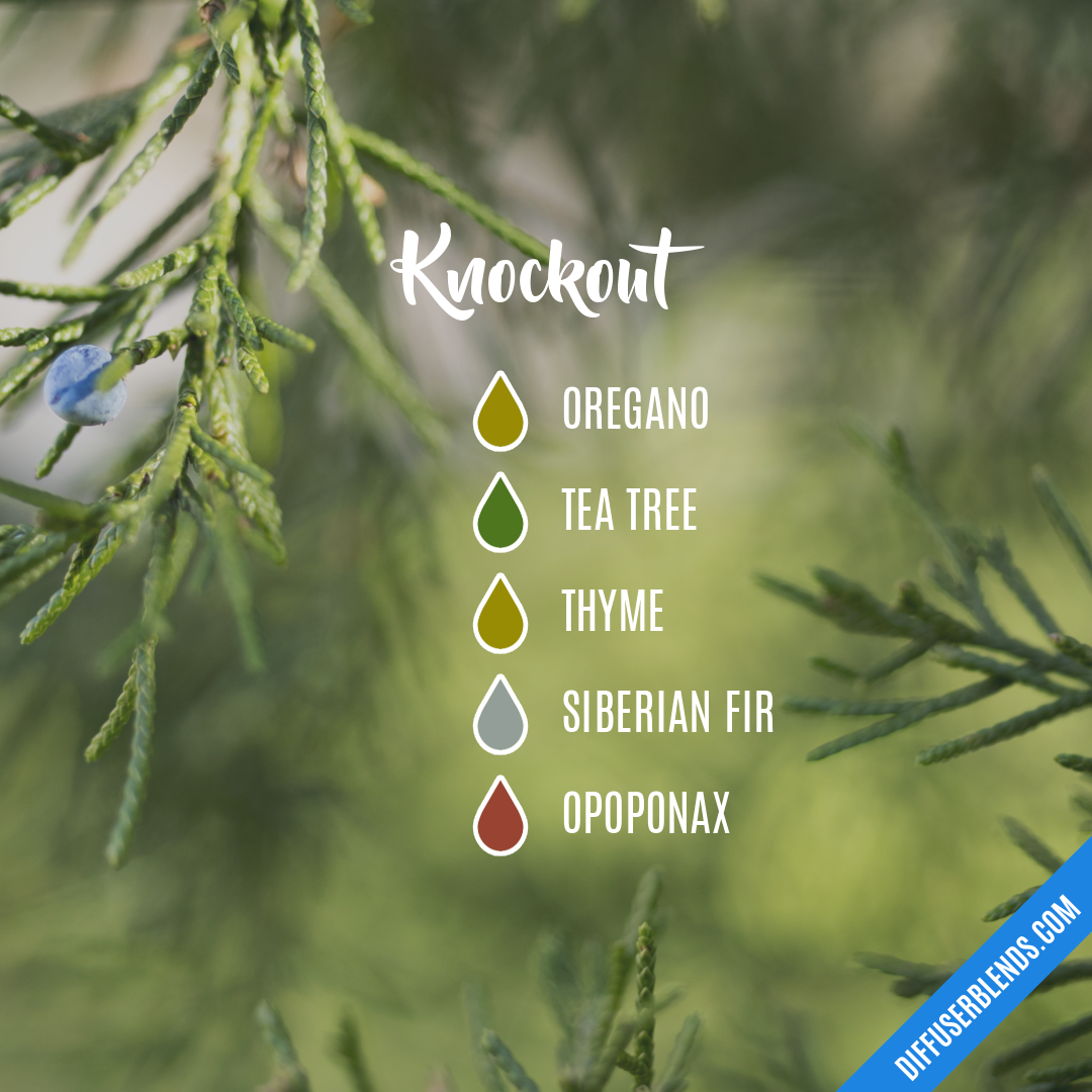 Knockout — Essential Oil Diffuser Blend