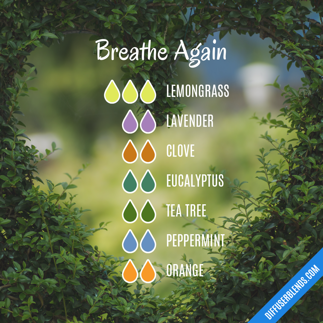 Breathe Again | DiffuserBlends.com