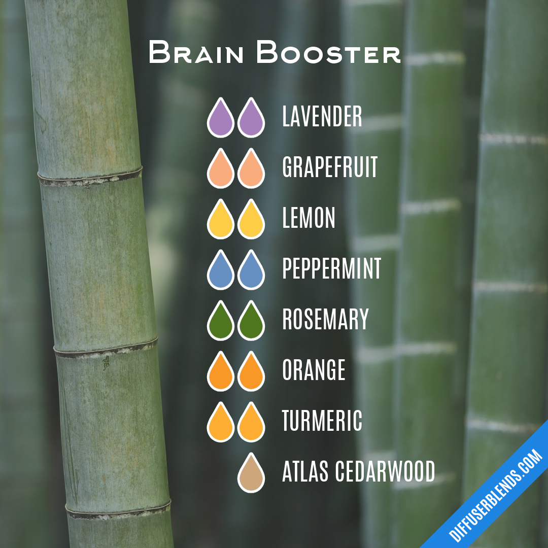 Brain Booster — Essential Oil Diffuser Blend